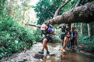 BIB: 
                            <button type="button" onclick="openModal(25371845)" class="btn btn-primary btn-sm float-right btn-popup" data-toggle="modal" data-target=".modal-high-quality">
                        <i class="fas fa-shopping-cart"></i> Add to Cart
                    </button>
                                            <button type="button" onclick="isThisMe(25371845, true)" class="btn btn-success btn-sm float-right btn-popup btn-isme hidden" data-toggle="tooltip" data-placement="bottom" title="นี่คือรูปของคุณใช่ไหม คลิกที่นี่เพื่อเอาเข้าอัลบั้ม">
                        <i class="fas fa-plus"></i> Add to album
                    </button>
                    <button type="button" onclick="isThisMe(25371845, false)" class="btn btn-warning btn-sm float-right btn-popup btn-isnotme hidden">
                        <i class="fas fa-ban"></i> Remove from album
                    </button>